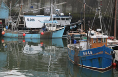 Bill to allow Northern Irish boats to fish off Ireland's coasts approved by Dáil