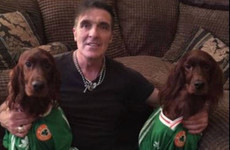 Bernie Slaven's dogs, James Power's Irish oral exam and more Tweets of the Week