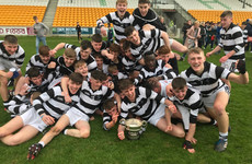 Kingpins of schools hurling St Kieran's College secure 23rd Croke Cup crown in Tullamore