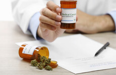 'Momentous achievement': Campaigners welcome confirmation of government medicinal cannabis supplier
