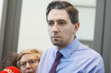 Former CervicalCheck boss says Harris was warned that offering extra smear tests could cause delays