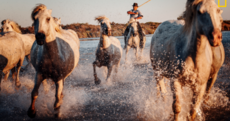 These amazing photos are up for the National Geographic Travel Photo Contest
