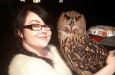 'She's home and she's safe': Tank the owl found after escaping from home on Friday