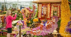 In pictures: The Chelsea Flower Show