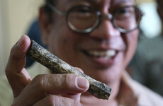 Fossil from previously unknown human species sparks fresh questions about where we come from