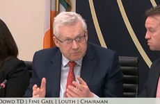 How relevant is the Kerins Supreme Court ruling to Oireachtas committees?