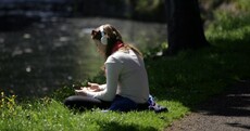 In pictures: Fun in the sun... and it's like this all week