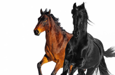 It's a country/rap song that's breaking chart records in the US. So why the Old Town Road controversy?