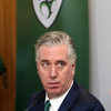 Poll: Do you think John Delaney should leave the FAI?