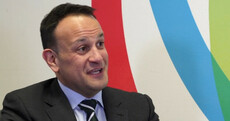 'I'm no expert in the cultivation of cannabis': Taoiseach supports idea of Irish farmers growing cannabis in the future