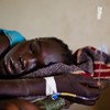 One third of malaria drugs worldwide are fake - Lancet research