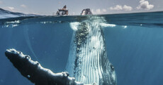 These breathtaking photos are up for the National Geographic Travel Photo of the Year