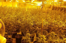 Cannabis worth €800,000 seized after 'substantial' grow house found at Waterford industrial estate