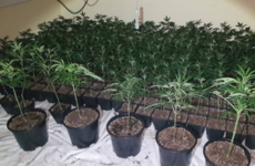 Two to appear in court over seizure of €1.3m worth of cannabis in Waterford