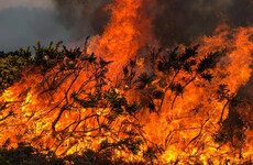 Gardaí investigating after gorse fire destroys house in Co Donegal