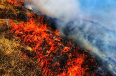 'A Holy mess': Pleas for more support as Donegal locals help battle another gorse fire