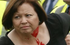 Eggs, cheese thrown at Mary Harney