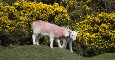 Here's What Happened Today: Easter Monday