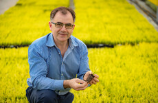 'Rare' crop maker Beotanics wants to make a healthy sweetener as it puts €1m into its HQ