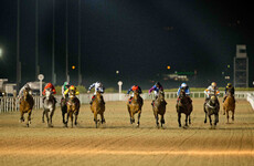 All-weather Dundalk deserves to be put on the right track for future success