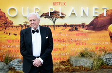 Lynn Ruane: 'Now is not the time to stop listening to David Attenborough'