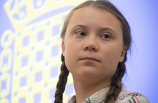 From the Garden: 'I worry about the implications of what Greta Thunberg’s saying for the cosy lives we lead'