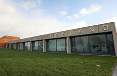 Governance group set up to reform crisis-hit FAI ahead of crunch AGM