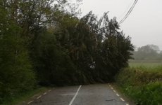 21,000 without electricity and fallen trees blocking roads as Storm Hannah batters the country