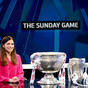 Munster hurling dominates as RTÉ announce schedule of 31 live GAA games for 2019 season