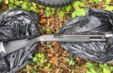 Loaded shotgun discovered in undergrowth at west Dublin housing estate