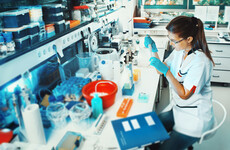Bacteria discovered in Cork improves ability to cope with stress