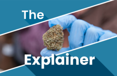 The Explainer: Can Ireland grow its own medicinal cannabis?