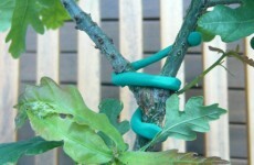 Irish invention makes Time's Top 50 inventions of 2010