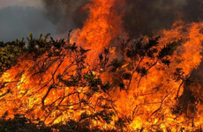 Man arrested over gorse fires in Donegal that destroyed house on Good Friday