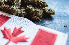 First-time cannabis users on the rise in Canada since legalisation