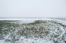30 hit with hypothermia at French techno festival following unexpected snowfall