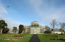 OPW raised concerns over impact planned apartments in Glasnevin will have on Botanic Gardens