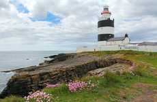 12 Great Irish Drives: Go whale-spotting and visit a world-famous lighthouse on Wexford's Ring Of Hook