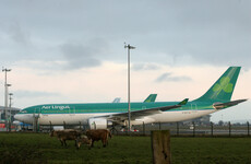 Passengers mistakenly used emergency exits to get off Aer Lingus plane after emergency landing