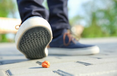 When was the last time you dropped gum? Rate your habits around waste here
