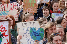 What does the Dáil's declaration of a climate emergency actually mean?