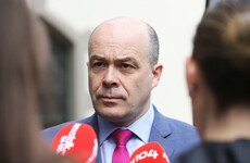 'Not about bringing Netflix to rural Ireland': Naughten says broadband plan ready to go 'for months'
