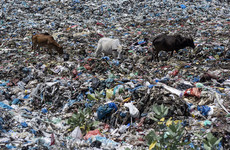 Landmark pact to regulate plastic waste signed by 180 nations - but not the US