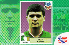 Memory lane: The Panini sticker collection of Ireland's '94 World Cup squad