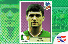 Memory lane: The Panini sticker collection of Ireland's '94 World Cup squad