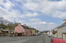 Man (80s) dies after being struck by car in Roscommon