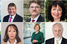 Meet your candidates: Ireland South's hopefuls answer the big questions of the campaign