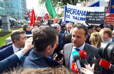 Farmers facing 'financial wipe out' to wait and see after government makes aid plea to Brussels