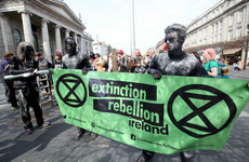 Question: Should Ireland increase its carbon tax?