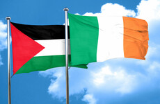 Government told that Occupied Territories Bill could affect immigration status of Irish in US